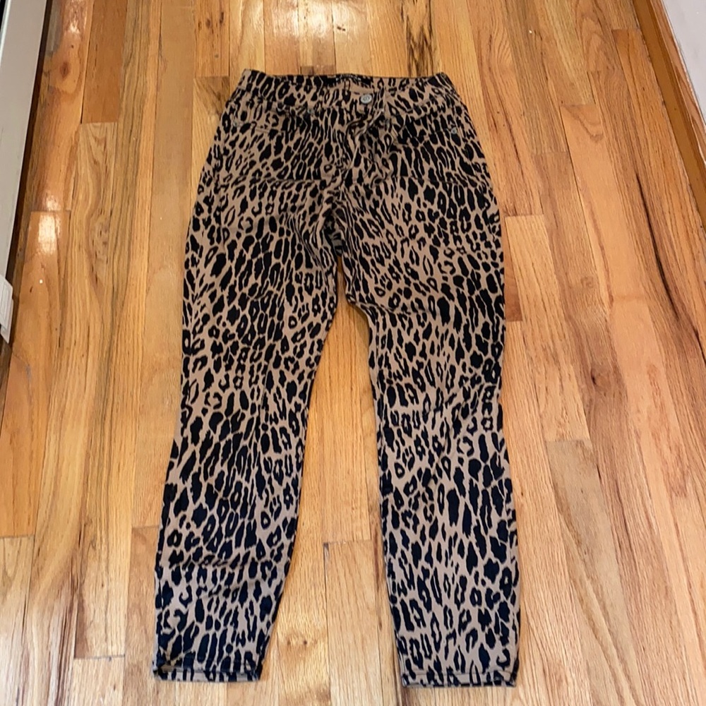 Express Animal Print Jegging
